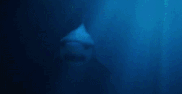 10部深海惊悚片深海恐惧症慎点