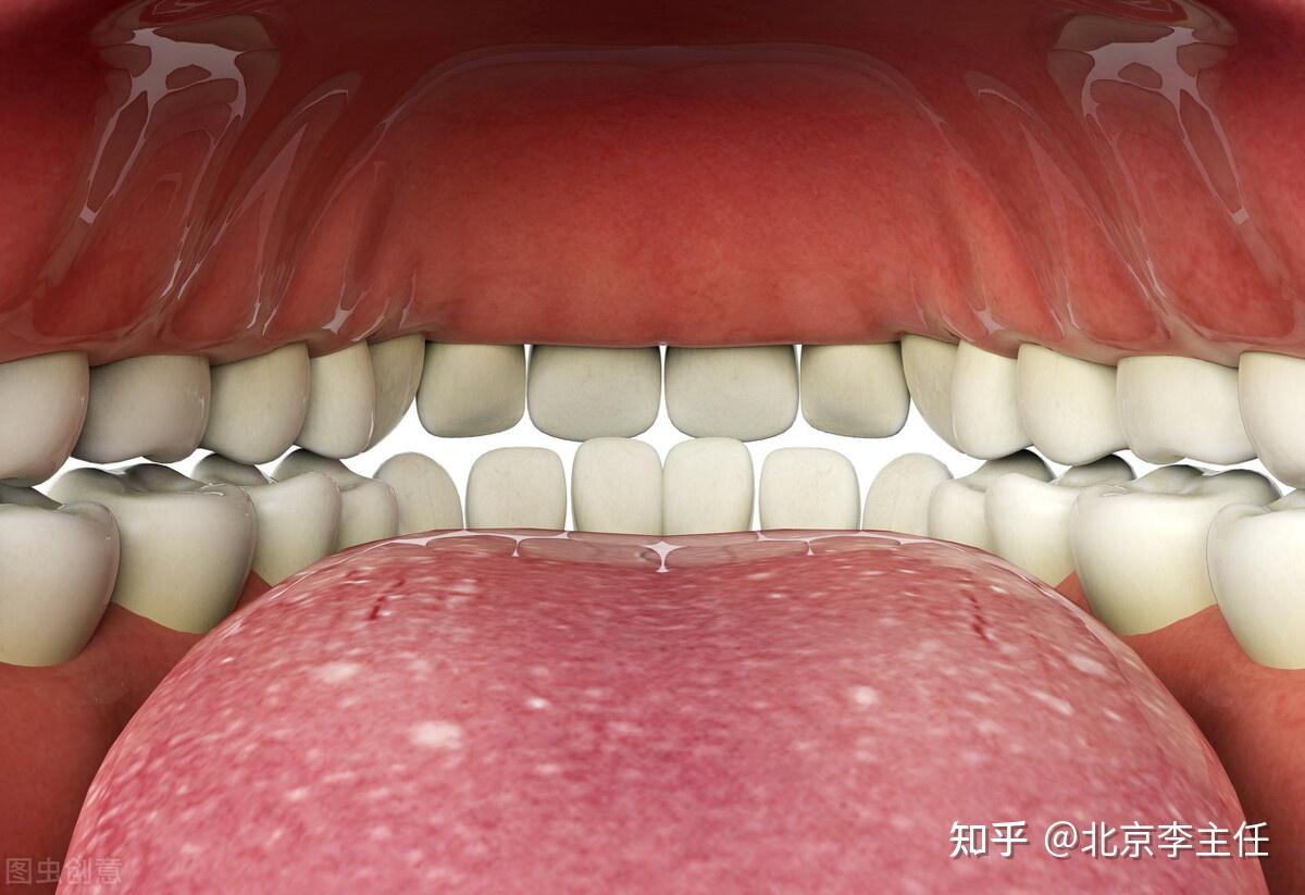 健康牙齿内部图片