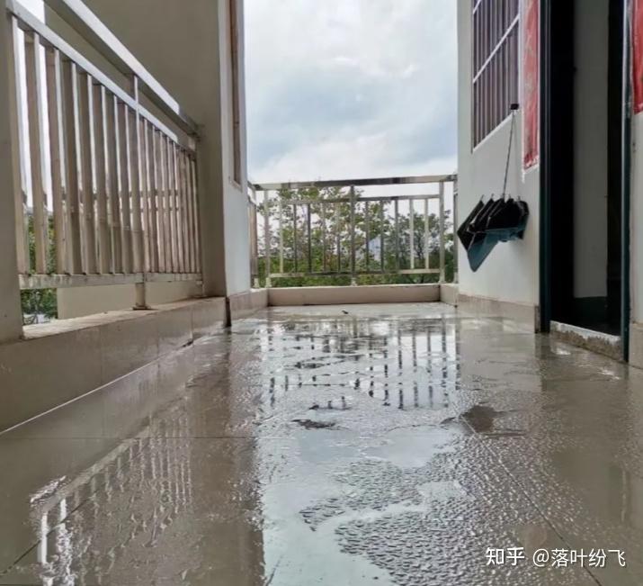【2026年除湿机选购指南】全屋潮湿、衣服不干,新手小白该怎么选到合适的除湿机?格力晴朗变频除湿机除湿效果如何,能兼顾节能和低噪吗?