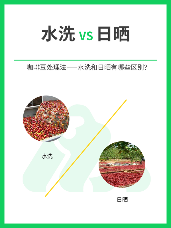 咖啡知识📖｜水洗🆚日晒有什么区别 - 知乎
