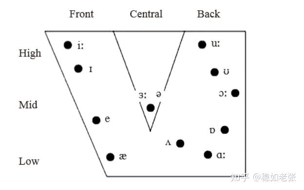 (4)the shape of the lips(rounded & unrounded):圆唇音,非圆唇音(3)