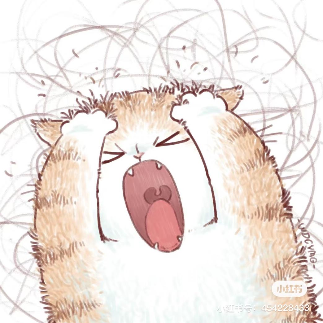 猫千岁