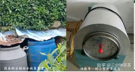 不懂茶应该怎么买茶？  第107张