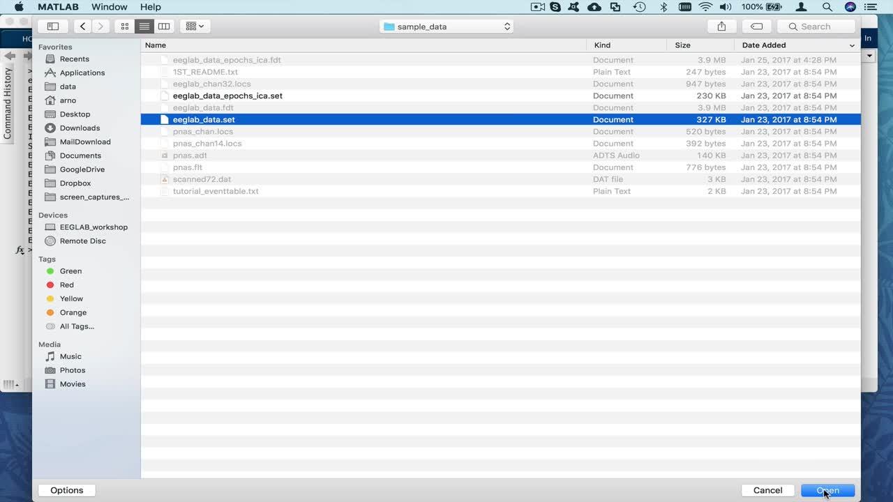 EEGLAB脑电数据预处理(视频版)