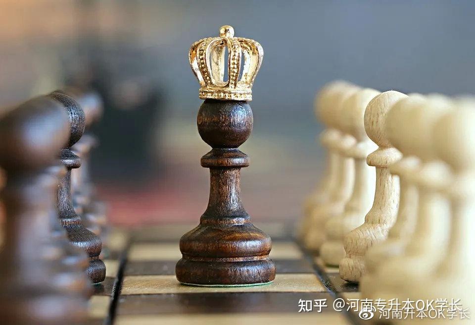 【院校招生情况汇总】2021河南专升本全部专业新增/取消院校汇总!插图6 【院校招生情况汇总】2021河南专升本全部专业新增/取消院校汇总!插图6