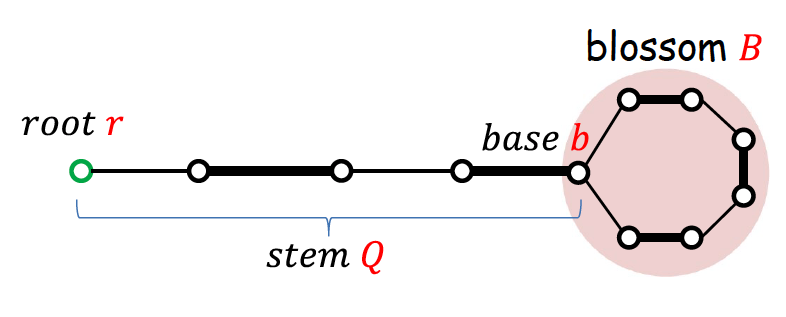 任意图最大匹配 — blossom algorithm - 知乎