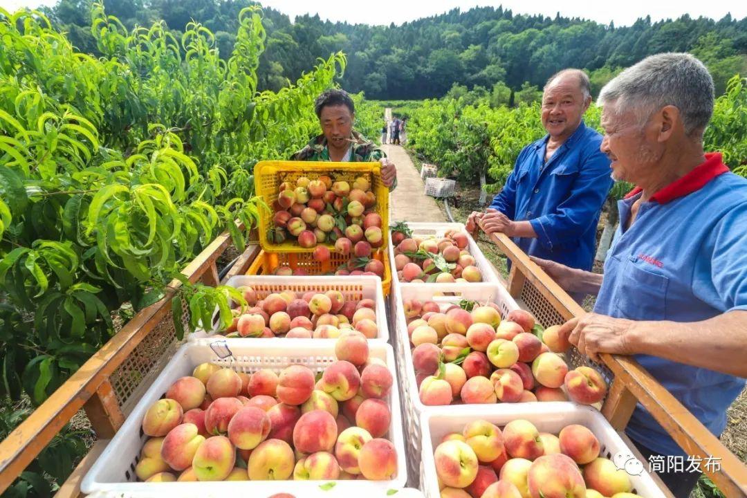 农业强,农村美,农民富 这样的乡村你爱了吗?