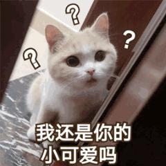 v2-40caa2cd0dd14f7b9a30a174e23bd9b2_b.jpg