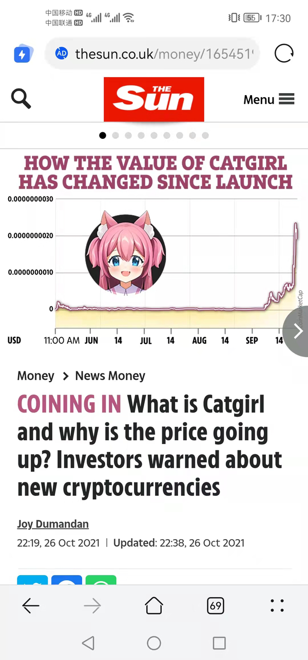 What is Catgirl and why is the price going up? Investors warned about new  cryptocurrencies