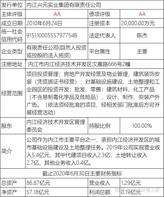 项目详解政信2020第18号四川省内江市兴元实业集团