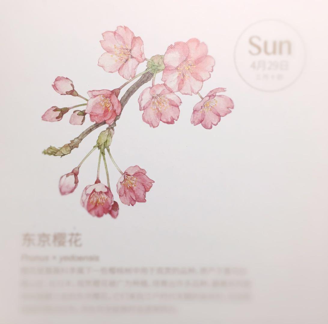 有限群表示论初步(2)——表示的运算与分解 知乎