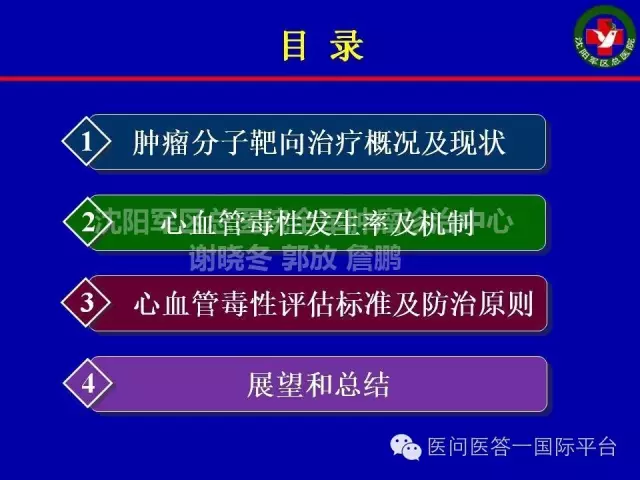 課件謝曉冬腫瘤分子靶向治療導致心血管毒性的研究進展