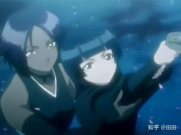 说说死神中那些耐人寻味的小细节(3)——碎蜂和夜一 - 知乎
