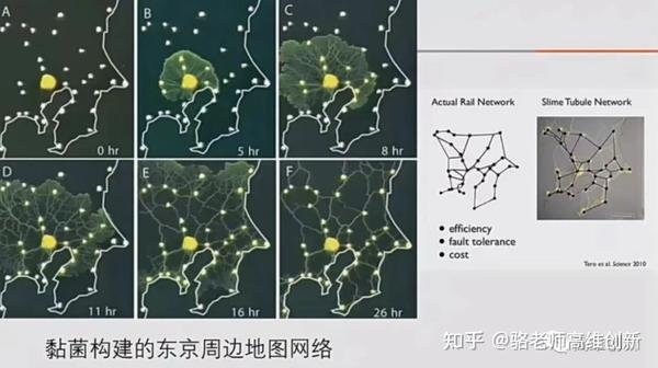 复杂科学经典《复杂》研读（上） - 知乎