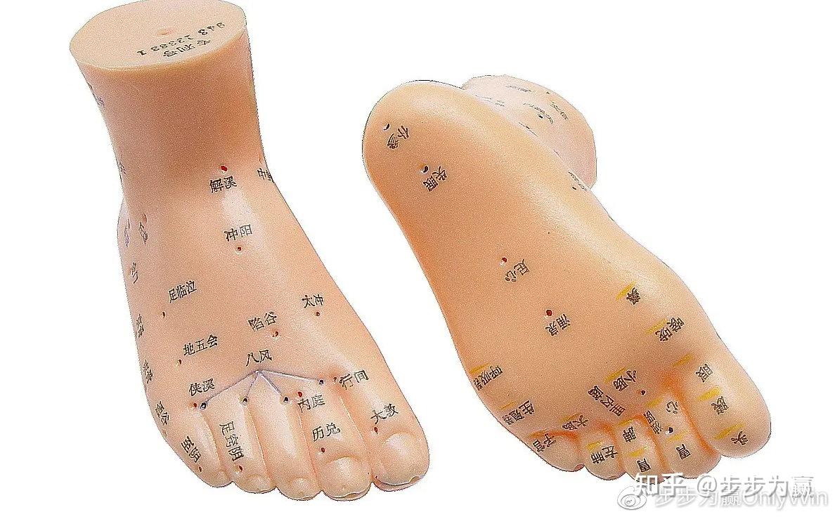中医认为:足是人之根,人体十二经络之中有六条经脉系于足部,这些经络