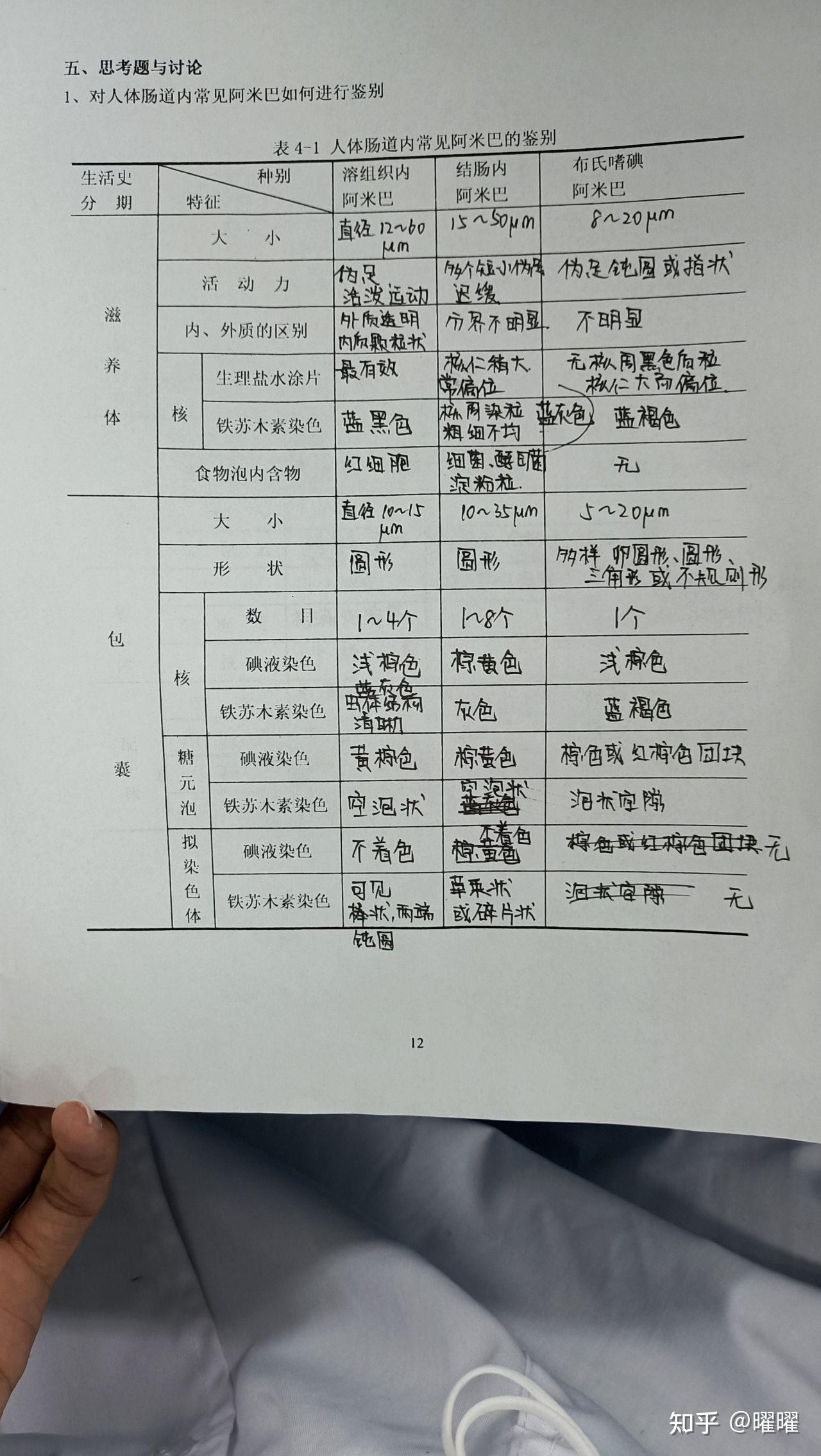 线虫绦虫吸虫比较表格图片