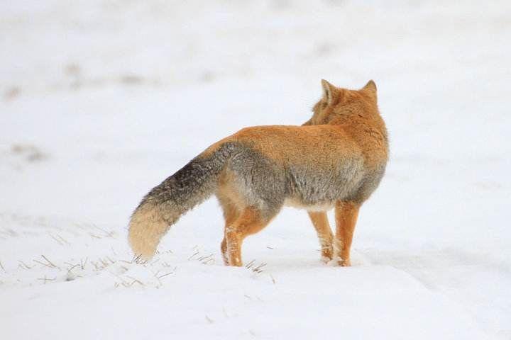 从后面看:哇,帅的一批的背影 </p><figure data-size=&quot