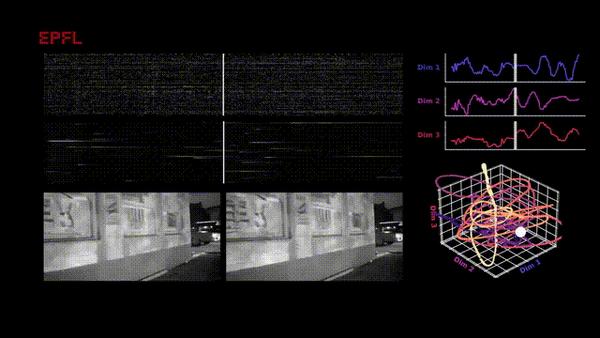 Nature | AI读脑重磅突破!科学家“看见”老鼠眼中的世界 - 知乎