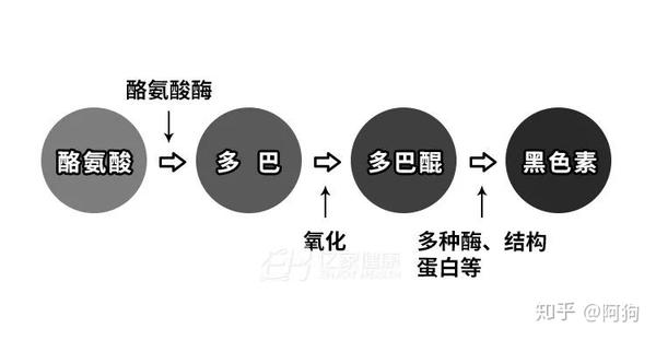 年轻人头发白了,还能变黑吗? - 知乎