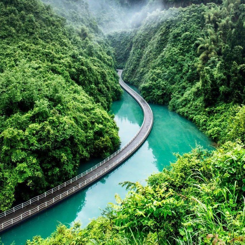 v2-41587daf26074f570f150f636a1d426c_1440w.jpg?source=172ae18b