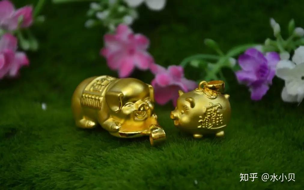 可可鑫的“金猪”送福啦! - 知乎