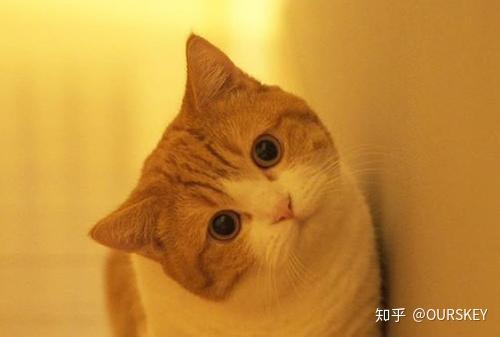 单眼瞳距多少最好,单眼瞳距多少最好看