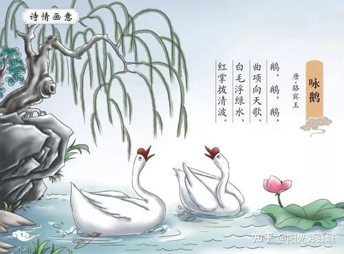 明明这么普通却蜜汁自信贾浅浅那也叫写诗我行我也上