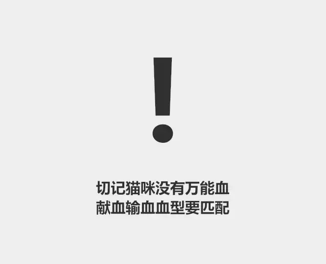 关于猫咪血型最通俗易懂的科普文就是这篇了! - 知乎