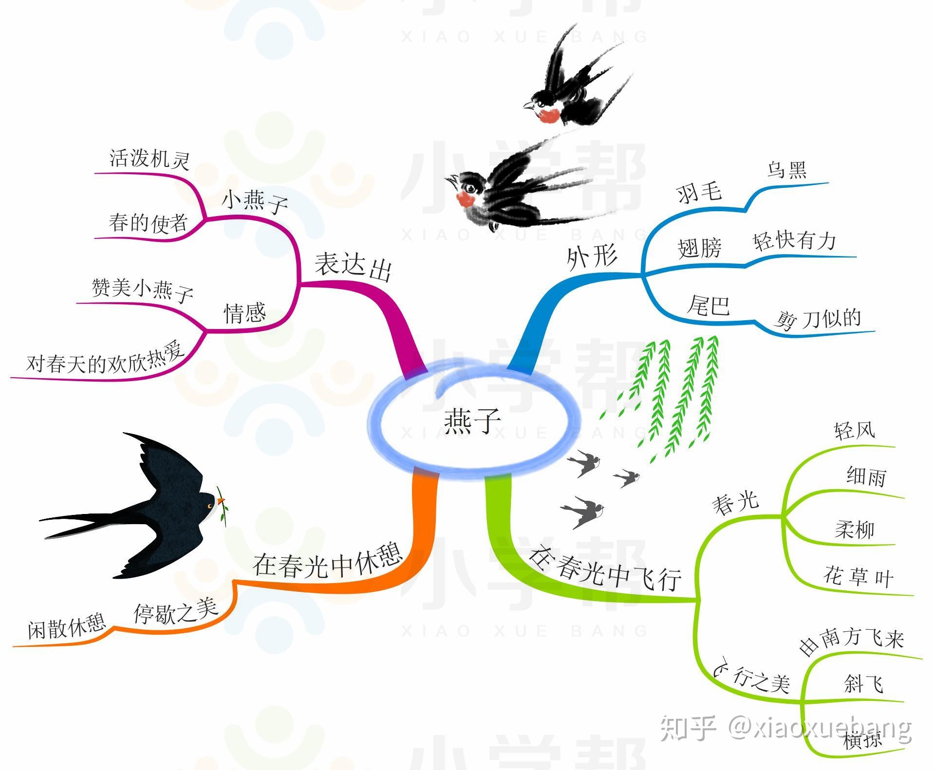 燕子课文结构图图片