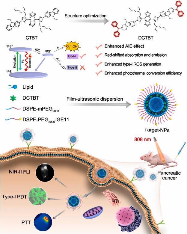 ii-fli引導的i型pdt-ptt協同胰腺癌治療中的應用首先對分子進行設計