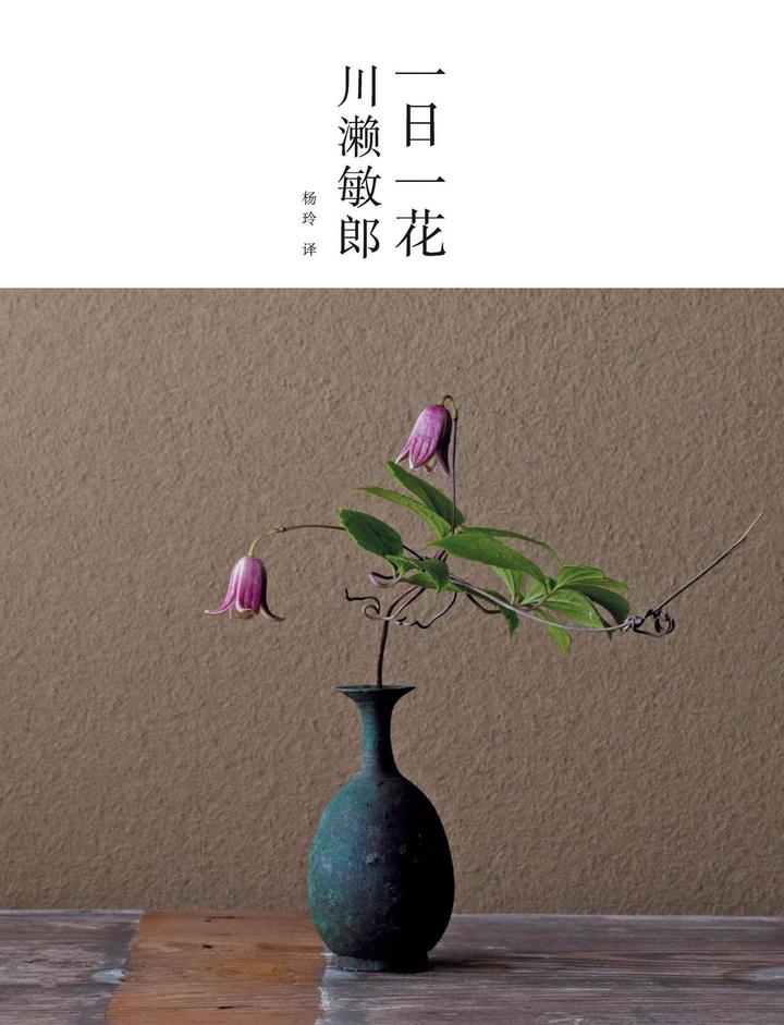 一期一会 一日一花 知乎 一期一会 一日一花 知乎