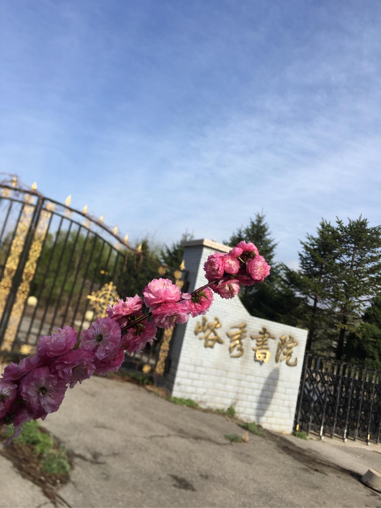 在沈阳市第二十中学读书是一种怎样的体验?