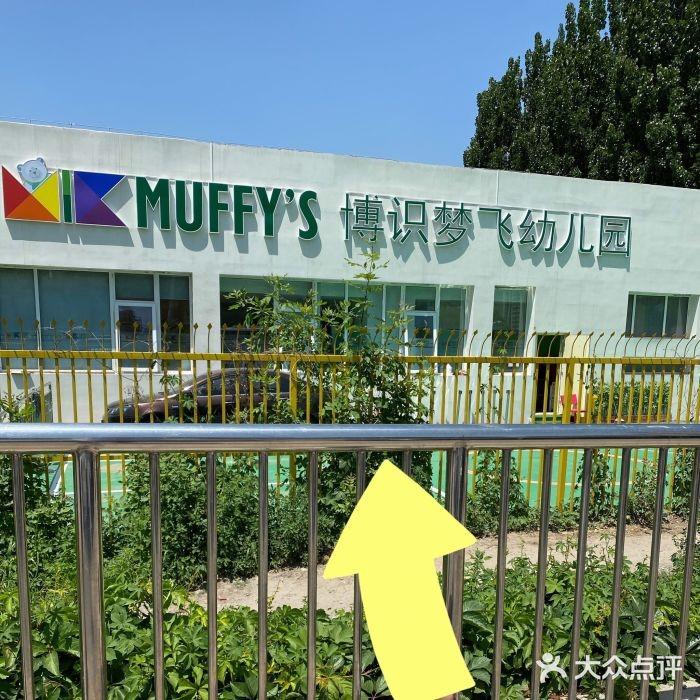 望京地区有哪些幼儿园