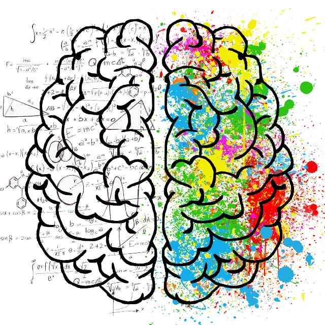 为什么有的人很聪明,大脑结构有什么不一样吗?