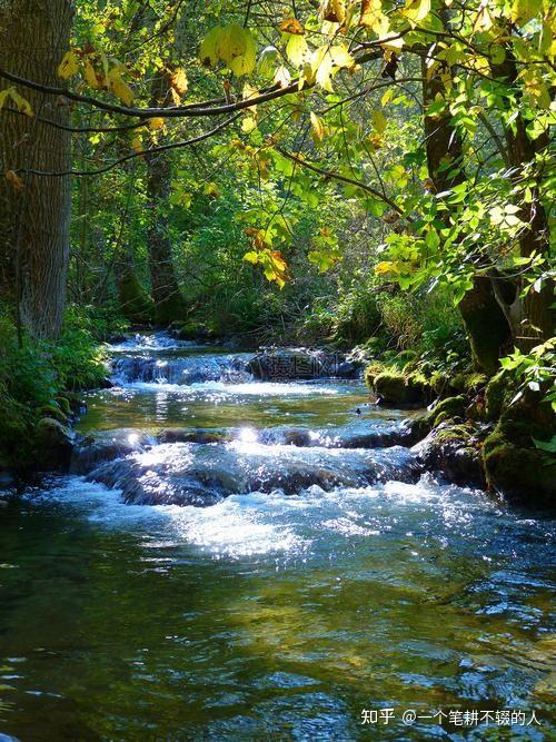 《低调如流,奋进似水》 - 知乎