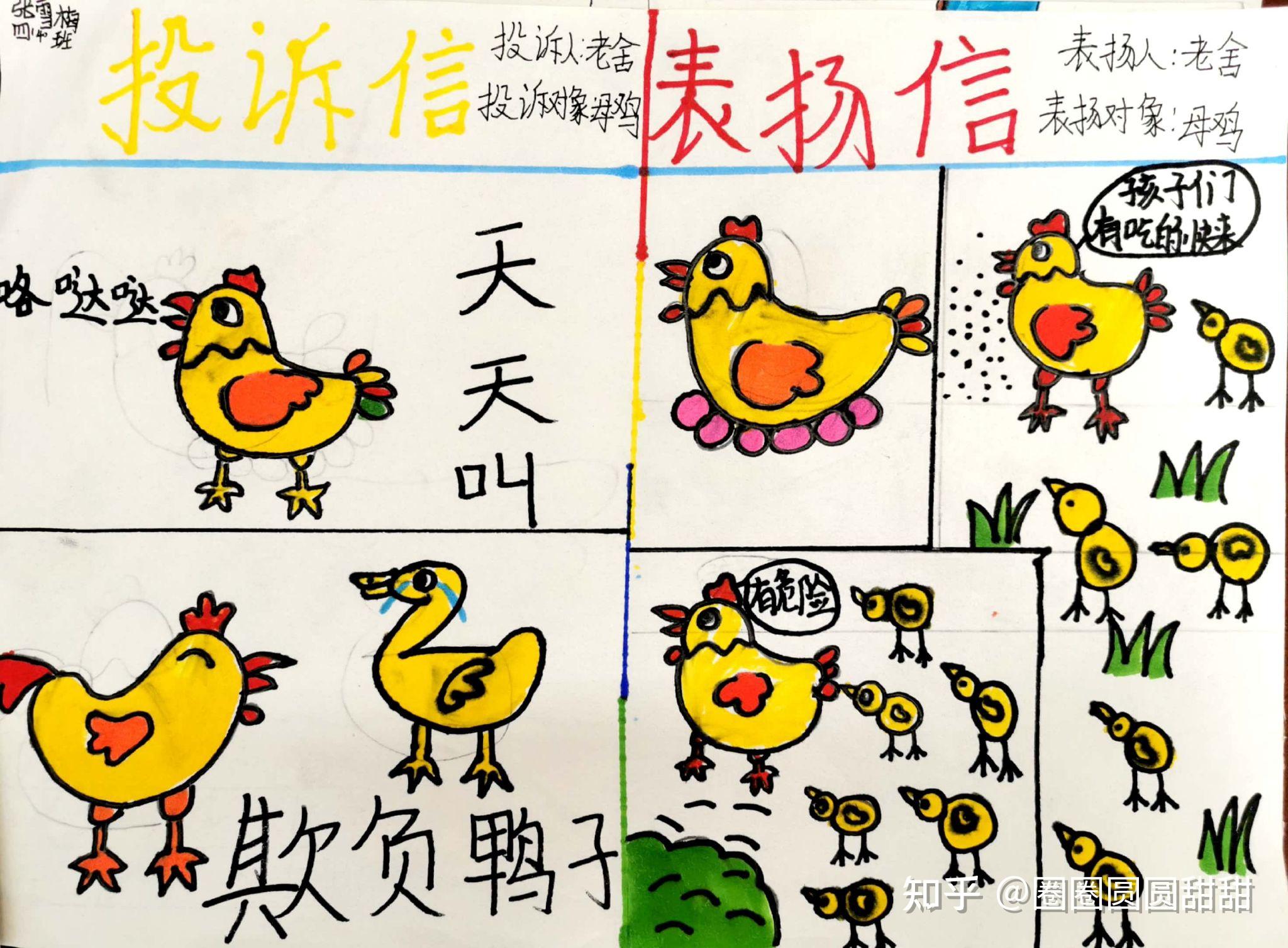 【四下《母鸡》】致母鸡的信——双减背景下的学科融合素养作业(出自