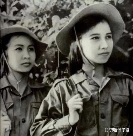 越南木兰在中国图片