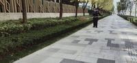 园林养护成本