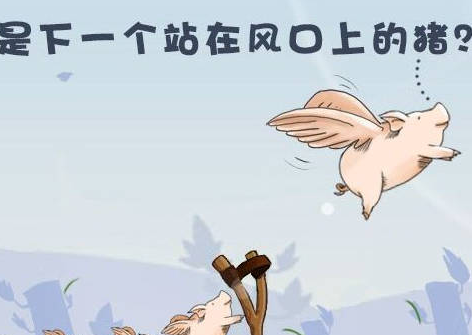 下一个风口在哪里如何预测风口行业怎么抓住风口行业为自己赚钱