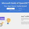 Microsoft Build of OpenJDK的最新进展，谈谈你对java后期发展的看法? - 知乎
