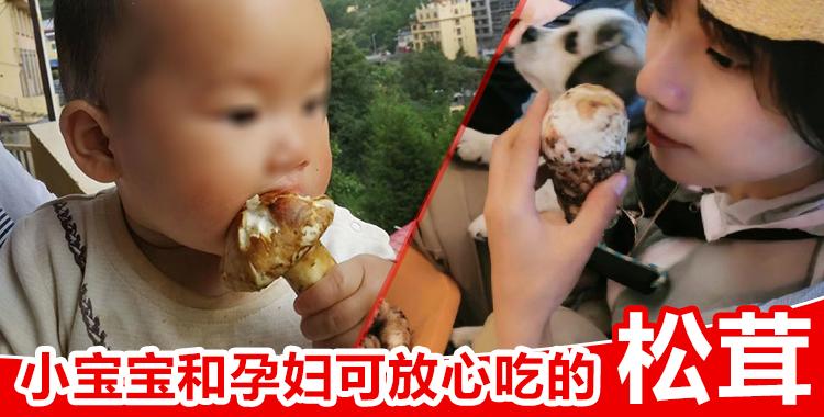 松茸图片多少钱一斤 v2-423822b4b8a8738b8ec5192ed6cbb4d3_1440w.jpg?source=172ae18b