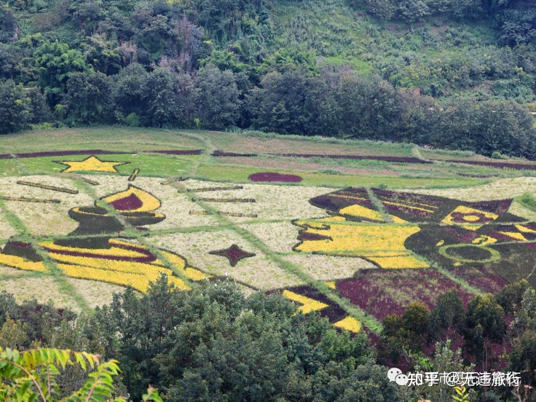 宜良一日游两处彩色稻田度过秋日好时光附攻略