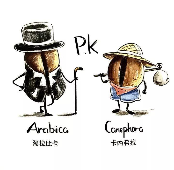 咖啡豆家族之争