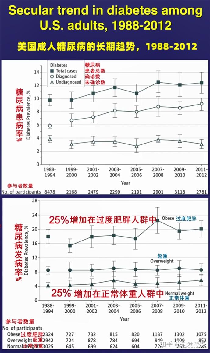 美国肥胖率图片