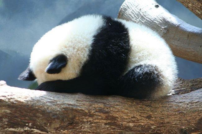 怎么才能让自己心律不齐 v2-4265e3e43a9724b98debf91071b62d54_1440w.jpg?source=172ae18b