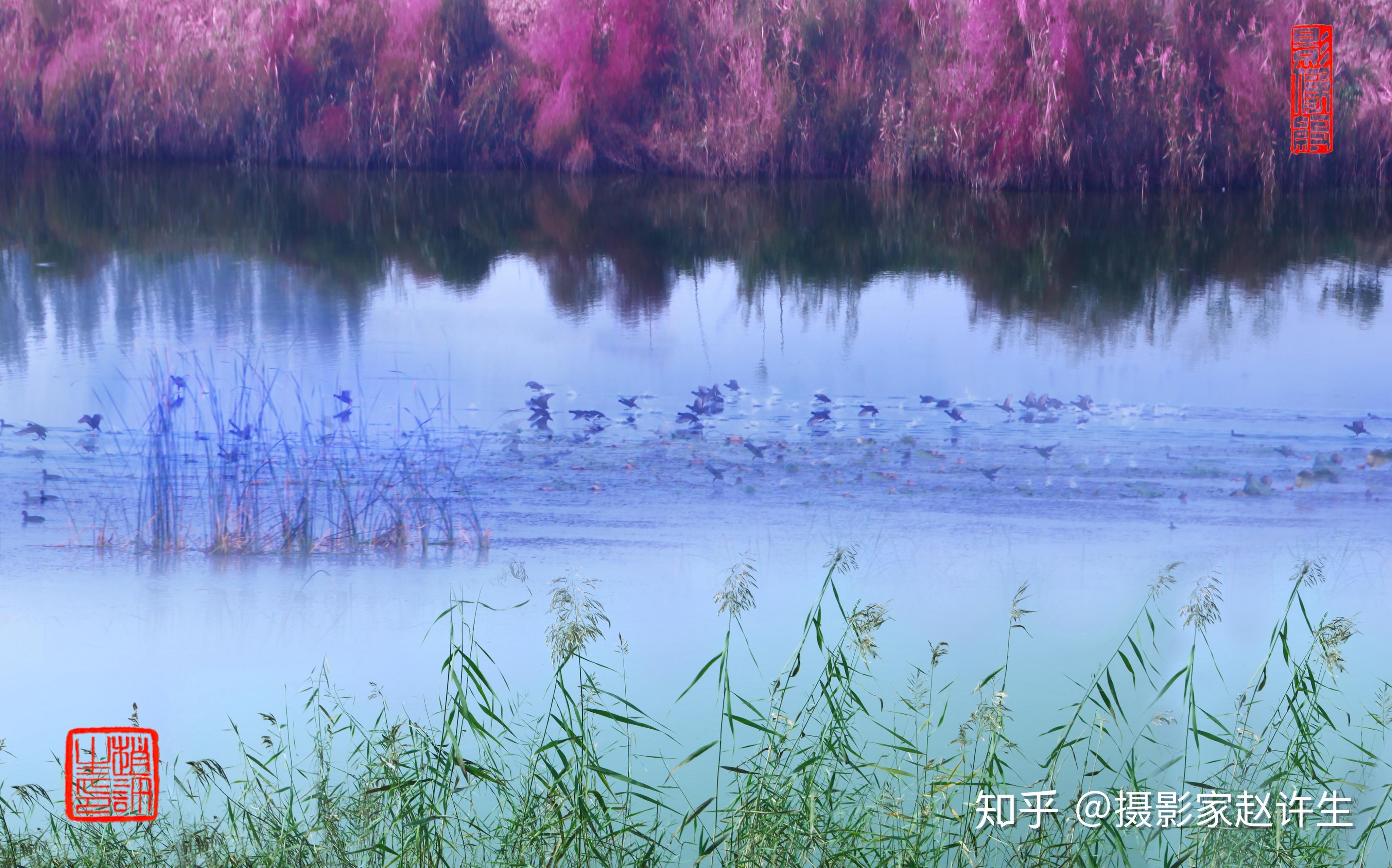 西湖之春|摄影|风光|msz010dzeta - 原创作品 - 站酷 (ZCOOL)