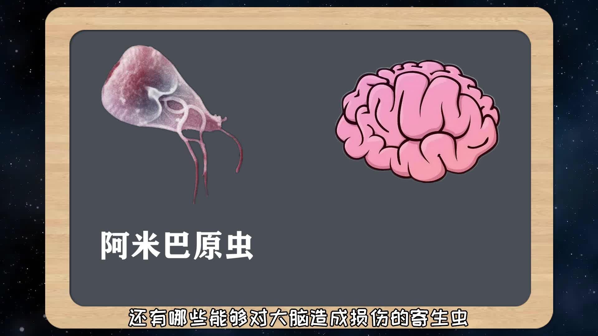 《寄生虫影评》:有些东西是有气味的