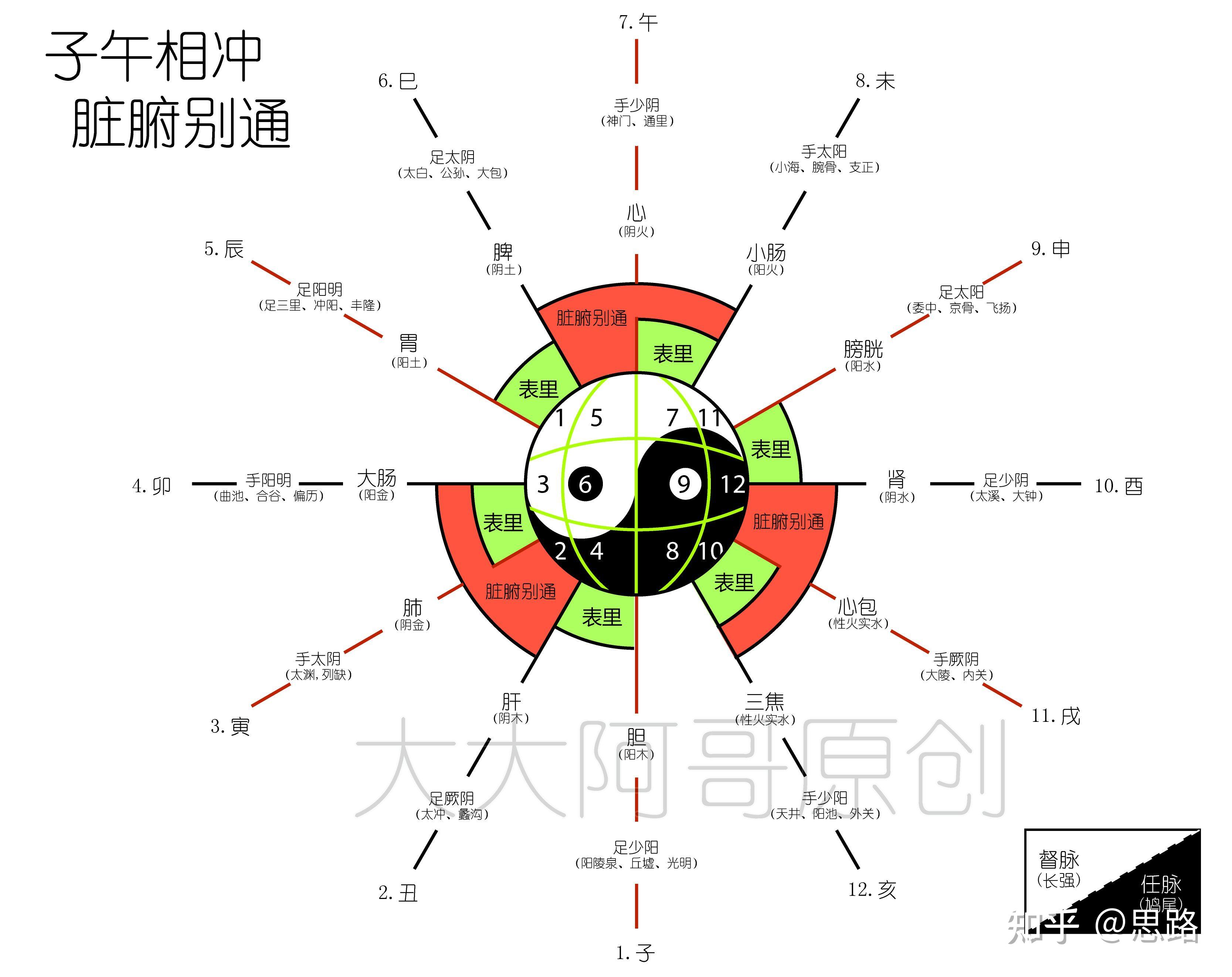 总之,中医脏腑的概念,虽然与现代人体解剖学的脏器名称相同,但在生理