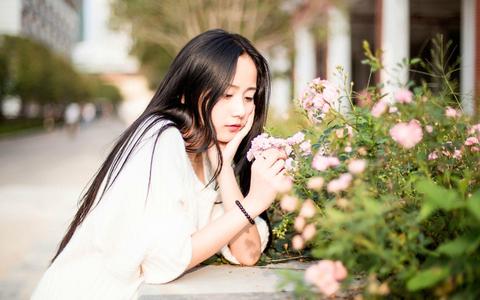 图标