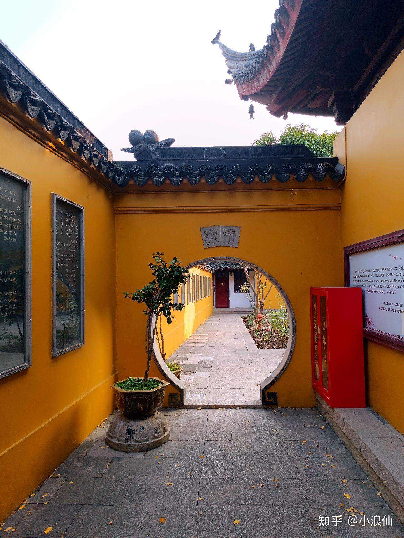 苏州定慧寺百年银杏黄了，满院金灿灿～ - 知乎